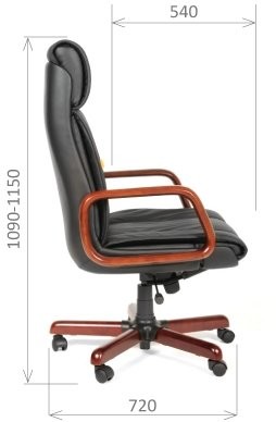 Директорское кресло CHAIRMAN 419 / CH 419